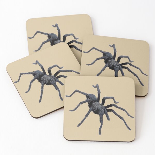 Item preview, Steindachner's Ebony Tarantula — Wild California Spider Photography designed and sold by kornkobart.