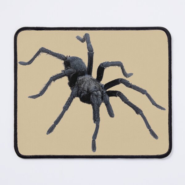 Item preview, Steindachner's Ebony Tarantula — Wild California Spider Photography designed and sold by kornkobart.