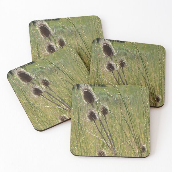 Item preview, Backlit thistle in a meadow designed and sold by lisavonbiela.