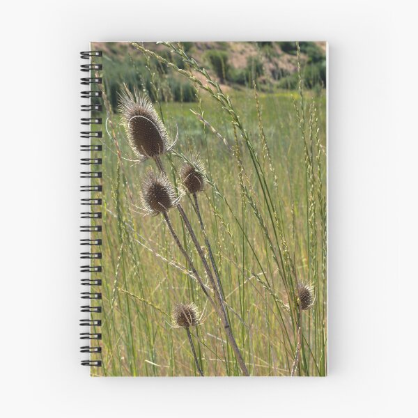Item preview, Backlit thistle in a meadow designed and sold by lisavonbiela.