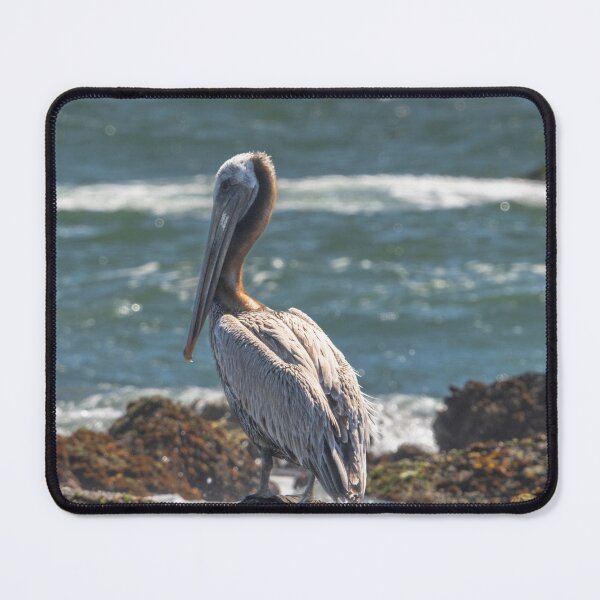 Item preview, The Perching Pelican designed and sold by CopperSkyPhoto.