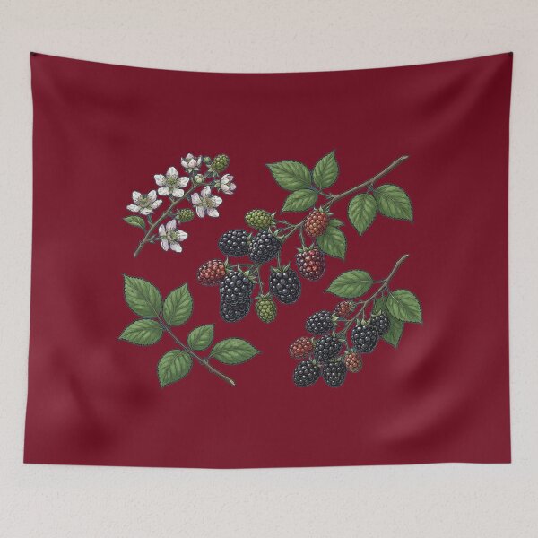 Item preview, Bramble Berry Botanical Illustration - Detailed Blackberry Fruit and Flowers designed and sold by Evelashop.
