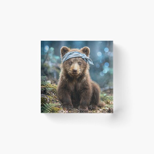 Item preview, Bear  designed and sold by Savannah Gibbs.