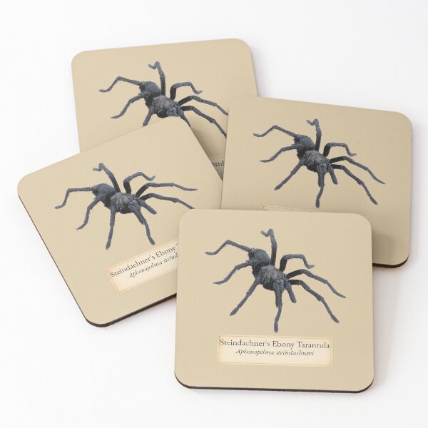 Item preview, Steindachner's Ebony Tarantula — Scientific Specimen Photography designed and sold by kornkobart.