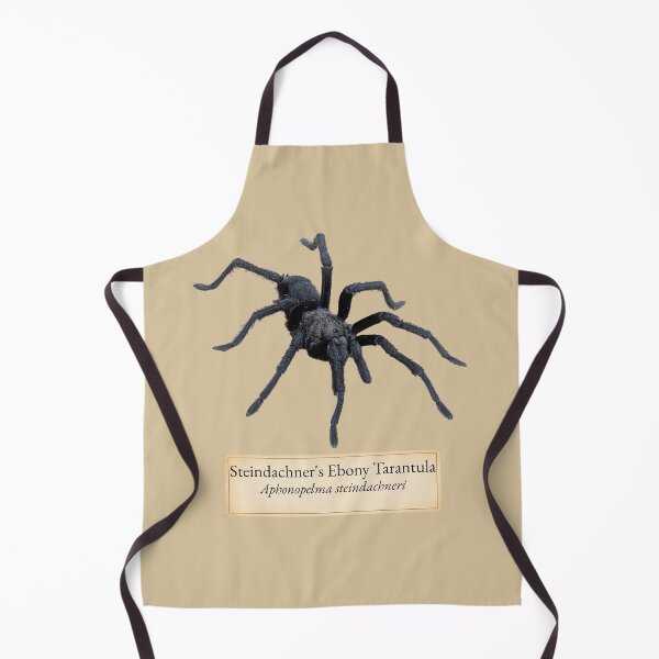 Item preview, Steindachner's Ebony Tarantula — Scientific Specimen Photography designed and sold by kornkobart.