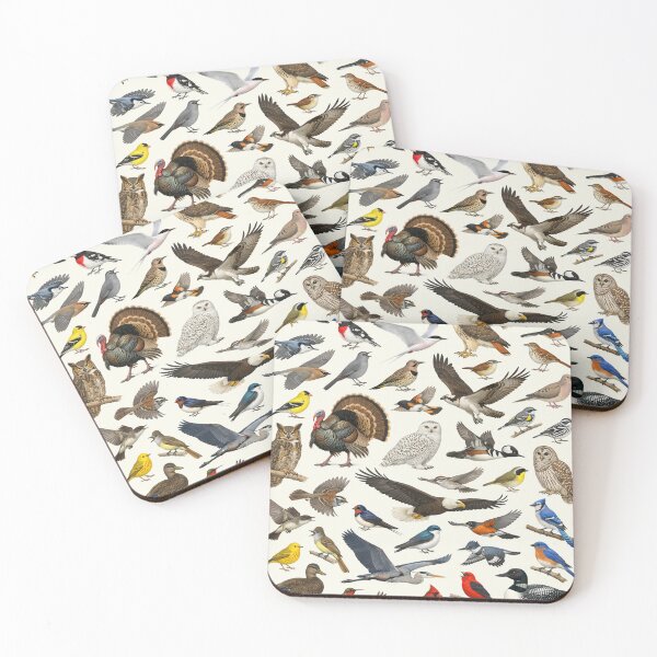 Item preview, Native Birds of Massachusetts Retro Style Identification Chart designed and sold by kakarikihill.