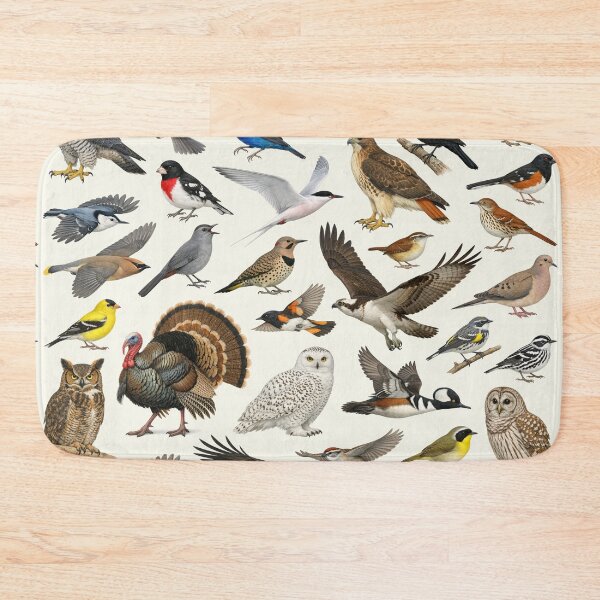 Item preview, Native Birds of Massachusetts Retro Style Identification Chart designed and sold by kakarikihill.
