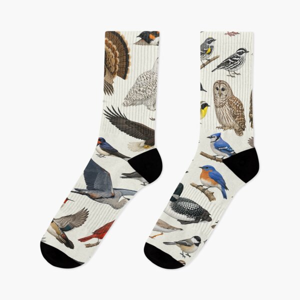 Item preview, Native Birds of Massachusetts Retro Style Identification Chart designed and sold by kakarikihill.