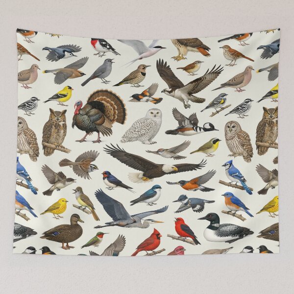 Item preview, Native Birds of Massachusetts Retro Style Identification Chart designed and sold by kakarikihill.