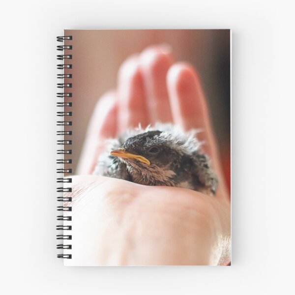 Item preview, Bird in the hand designed and sold by GreyFeatherPhot.