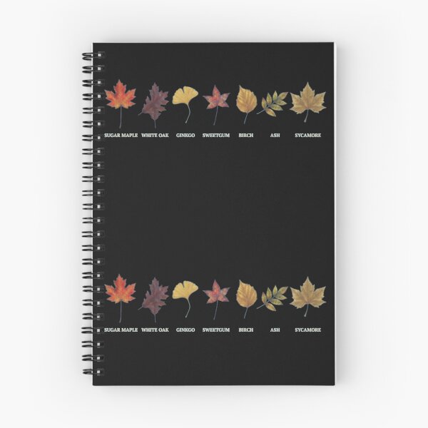 Item preview, Autumn Leaf Identification Chart - 7 Common North American Tree Leaves designed and sold by Evelashop.