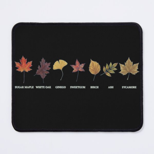 Item preview, Autumn Leaf Identification Chart - 7 Common North American Tree Leaves designed and sold by Evelashop.
