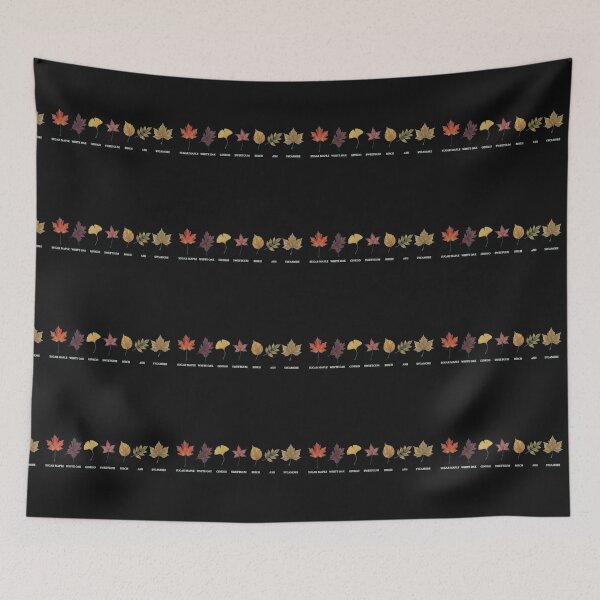 Item preview, Autumn Leaf Identification Chart - 7 Common North American Tree Leaves designed and sold by Evelashop.