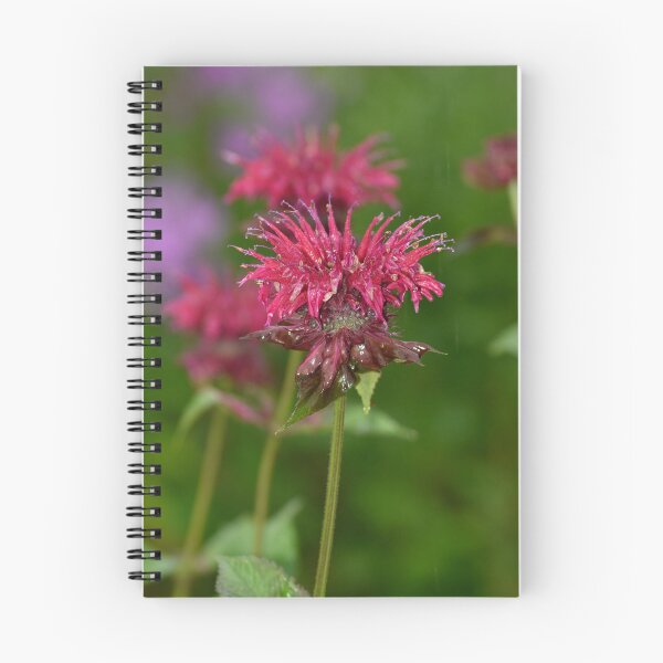 Item preview, Magenta Bee Balm Vertical | Monarda didyma Wildflower Macro Photography designed and sold by TathataPhotos.