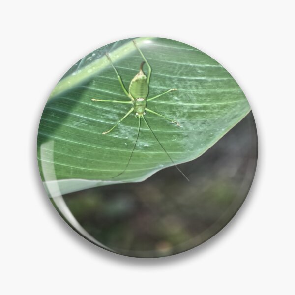 Item preview, Green Hopper on a Green Leaf designed and sold by StylishDecor.