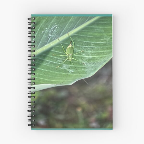 Item preview, Green Hopper on a Green Leaf designed and sold by StylishDecor.