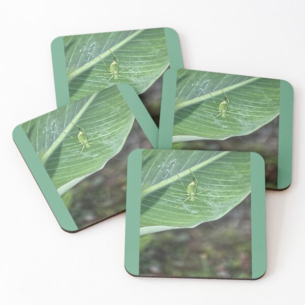 Item preview, Green Hopper on a Green Leaf designed and sold by StylishDecor.