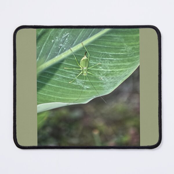 Item preview, Green Hopper on a Green Leaf designed and sold by StylishDecor.