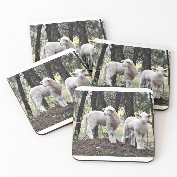 Item preview, White Suffolk lambs upon a mound of dirt designed and sold by Lynette2025.