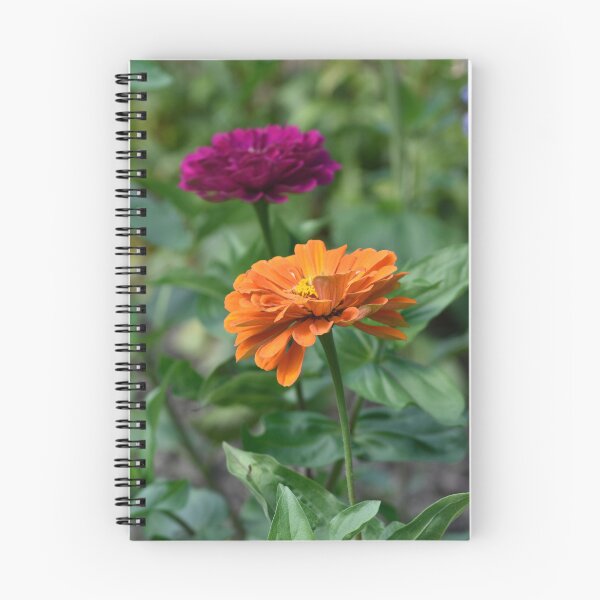 Item preview, Orange and Purple Zinnia Duo Vertical | Zinnia elegans Complementary Colors 2x3 designed and sold by TathataPhotos.