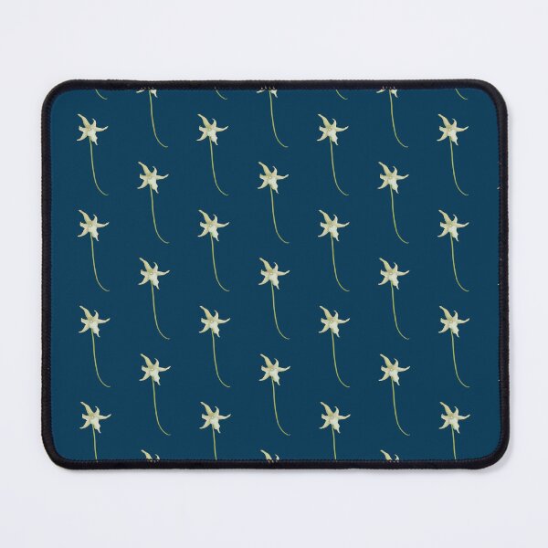 Item preview, Darwin's Orchid(Angraecum sesquipedale) designed and sold by Floralfusion.