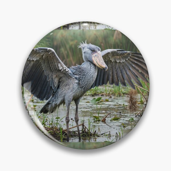 Item preview, Majestic Shoebill in Wetland Habitat designed and sold by Savannah Gibbs.