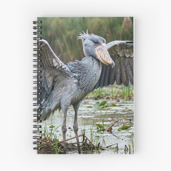 Item preview, Majestic Shoebill in Wetland Habitat designed and sold by Savannah Gibbs.