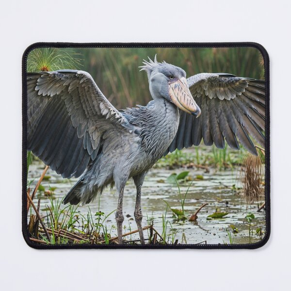 Item preview, Majestic Shoebill in Wetland Habitat designed and sold by Savannah Gibbs.