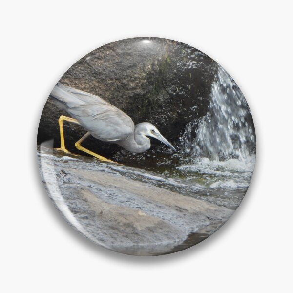 Item preview, White-faced Heron looking for some fish to eat designed and sold by Lynette2025.