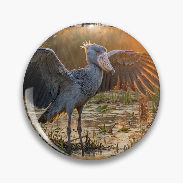 Item preview, Shoebill  designed and sold by Savannah Gibbs.