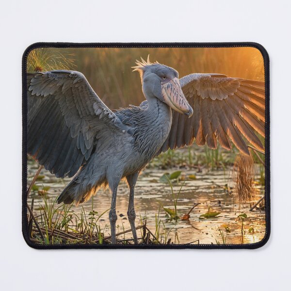 Item preview, Shoebill  designed and sold by Savannah Gibbs.