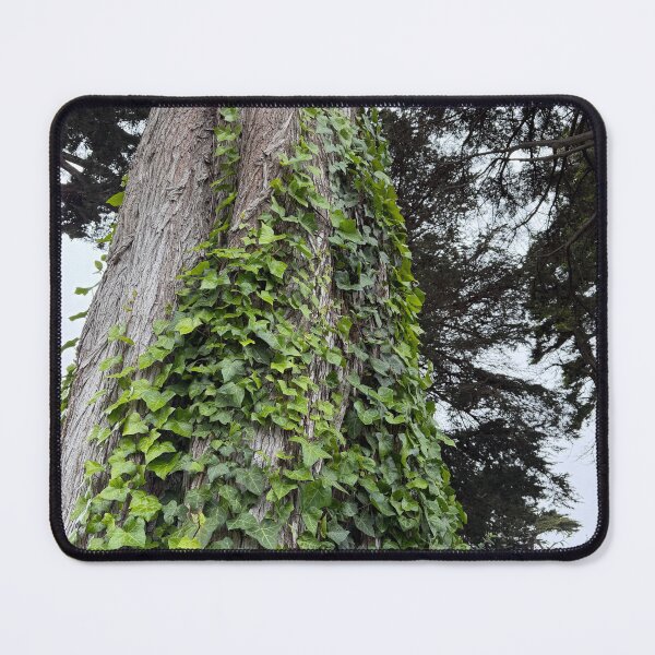 Item preview, Ivy Covered Tree designed and sold by Betsy Phillips.