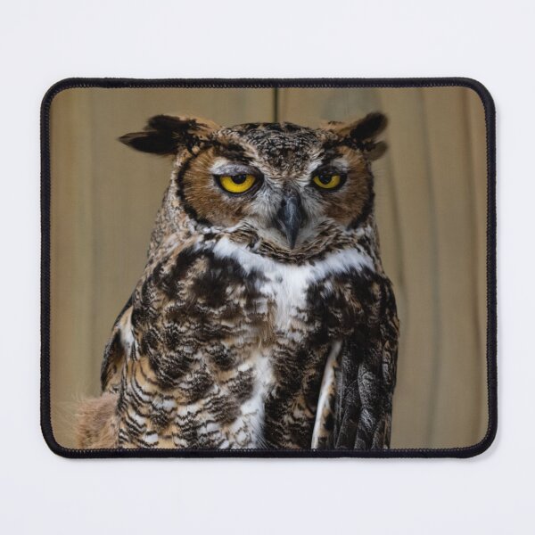 Item preview, Great Horned Owl designed and sold by Kmrphotostn.