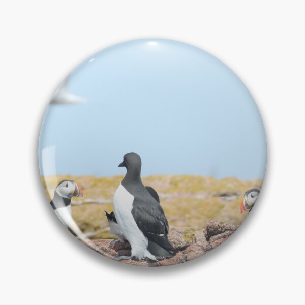 Item preview, Seabirds of Maine designed and sold by KelKaZay.