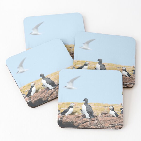 Item preview, Seabirds of Maine designed and sold by KelKaZay.