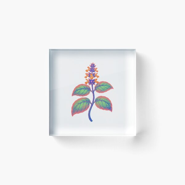 Item preview, Basil Flower Spike designed and sold by The-Art-of-D.