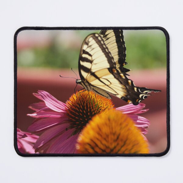 Item preview, swallowtail on coneflower designed and sold by distracted.