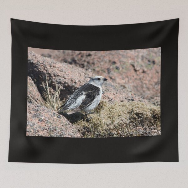 Item preview, Snow Bunting designed and sold by Jamie  Green.