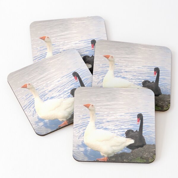Item preview, A Black Swan and White Goose designed and sold by Jasbindar Singh.