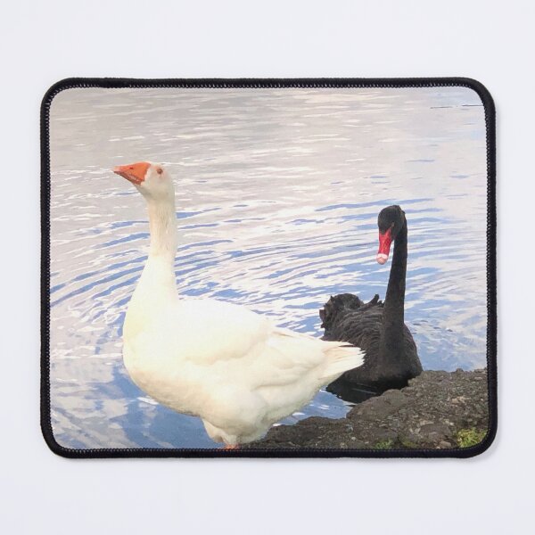 Item preview, A Black Swan and White Goose designed and sold by Jasbindar Singh.