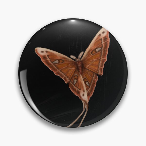 Item preview, Atlas moth designed and sold by style_less Art.