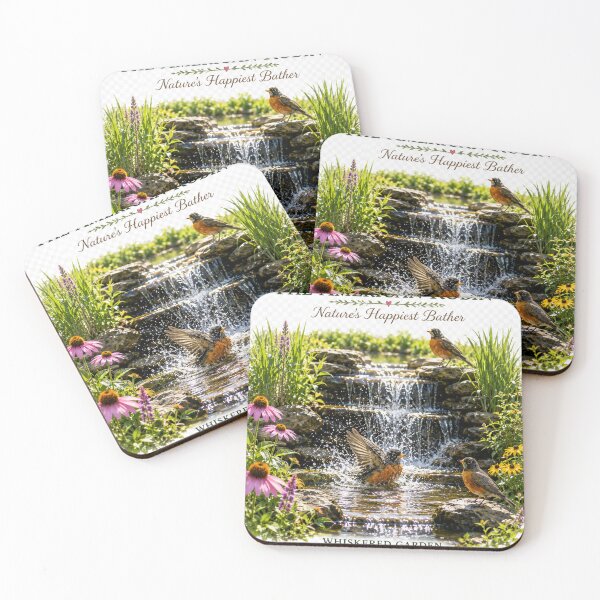 Item preview, The American Robin | Nature's Happiest Bather | Waterfall Wildlife Art designed and sold by Whiskered Garden Studio.