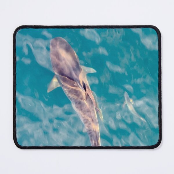 Item preview, Fierce Audi S4 Ocean Hunter designed and sold by Sajutitulpes.
