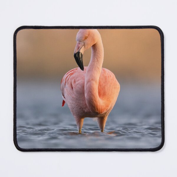 Item preview, Elegant Manchester City Fc bFlamingo Bloom designed and sold by Reempingkygirl.