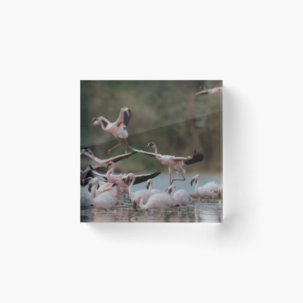 Item preview, Pink Manchester City Fc Flamingo Fantasy designed and sold by Reempingkygirl.