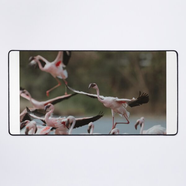 Item preview, Pink Manchester City Fc Flamingo Fantasy designed and sold by Reempingkygirl.