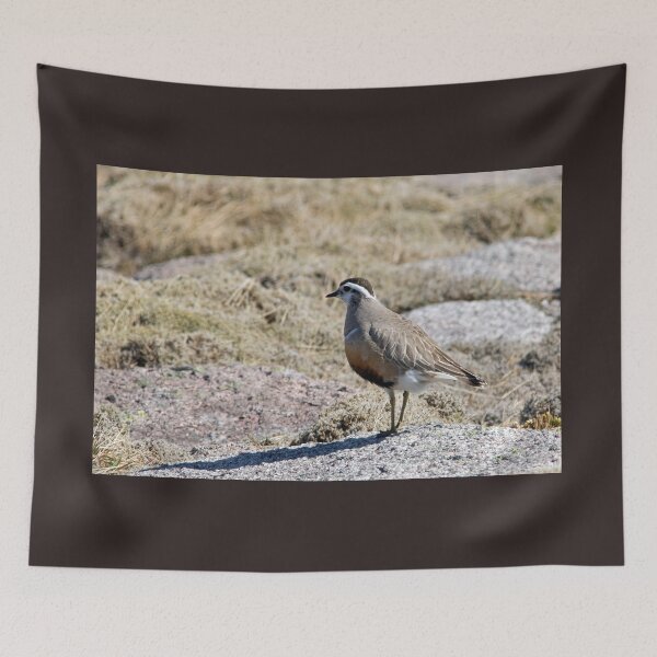 Item preview, Dotterel designed and sold by Jamie  Green.
