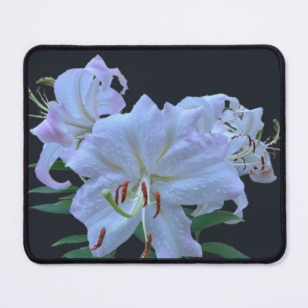 Item preview, White lilies designed and sold by Amanda1775.