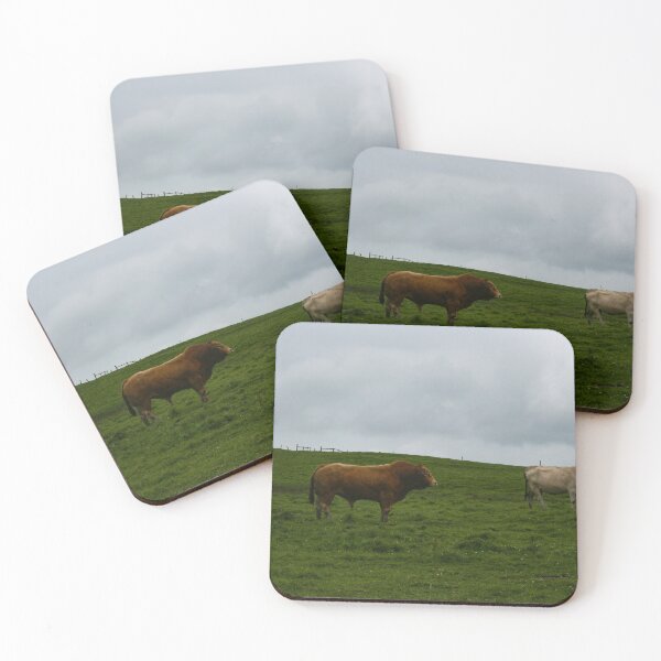 Item preview, Cows at the Cliffs of Moher designed and sold by TKrowArt.