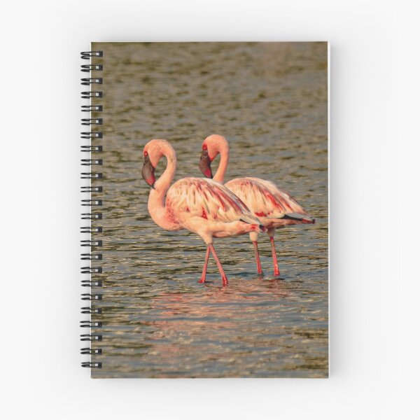 Item preview, Flamingo PayPal dParadise Nights designed and sold by Reempingkygirl.